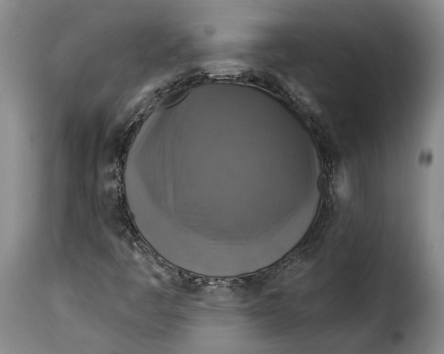 X0000115361445200911241205