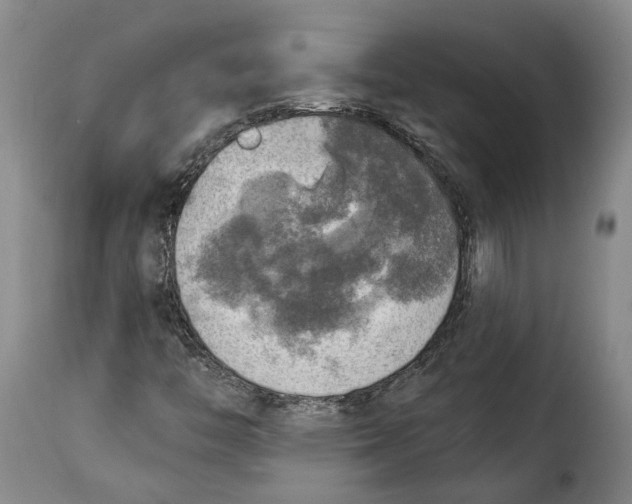 X0000115361446200911241205