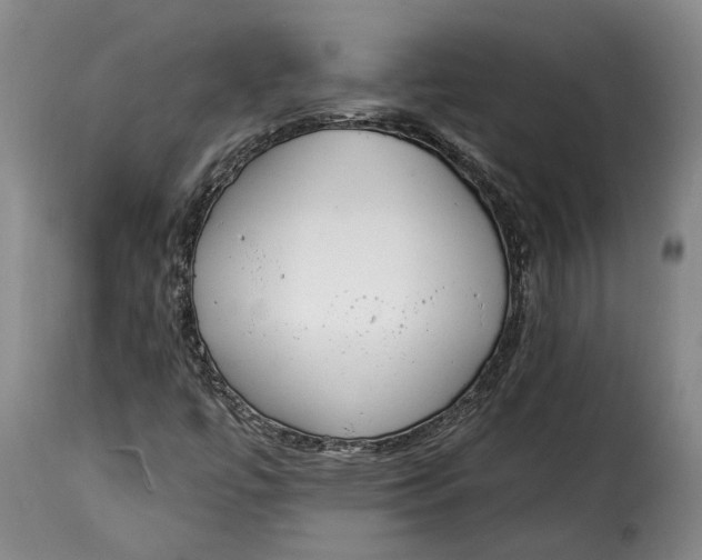 X0000115361447200911241205