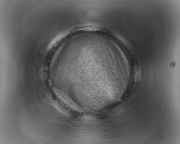 X0000115361448200911241205