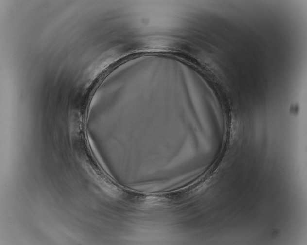 X0000115361449200911241205
