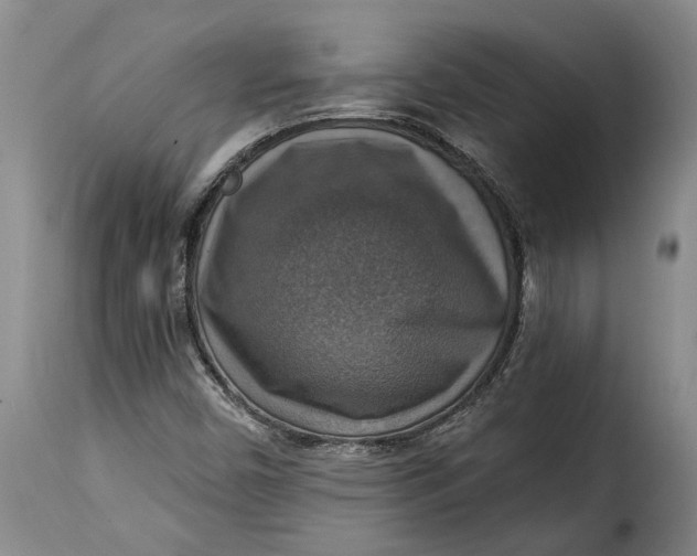 X0000115361450200911241205