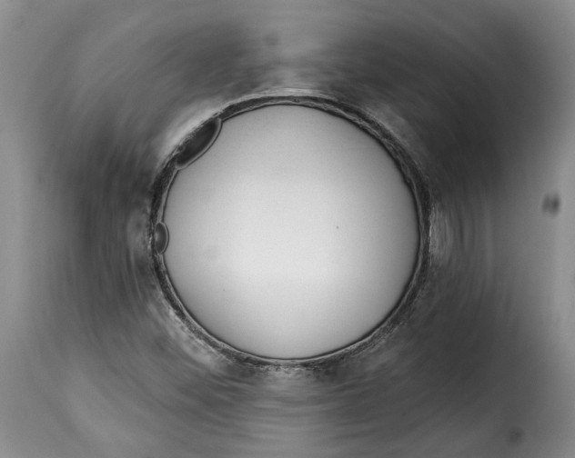 X0000115361452200911241205