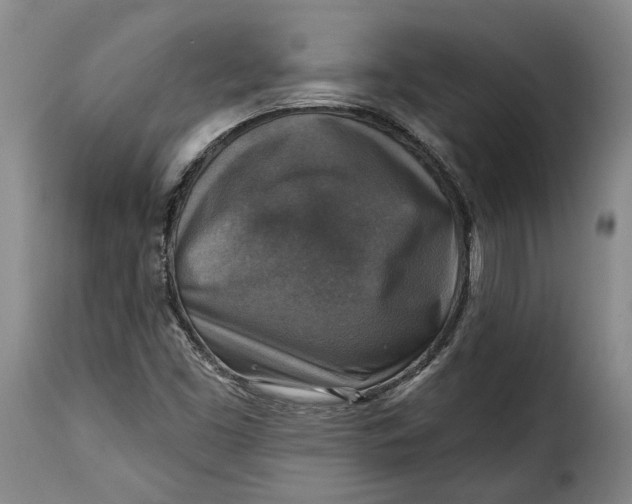 X0000115361453200911241205