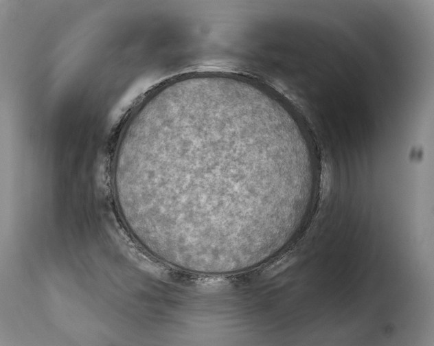 X0000115361454200911241205