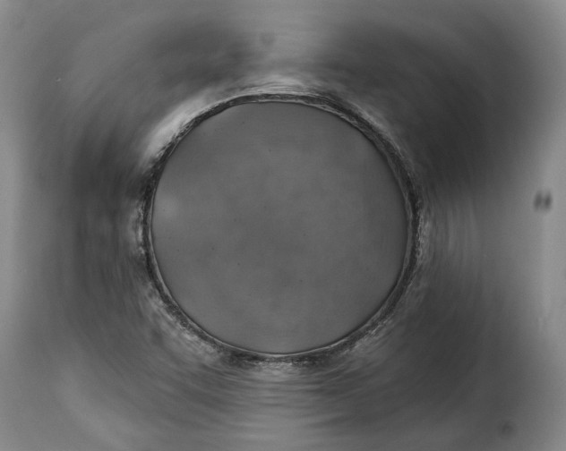 X0000115361455200911241205