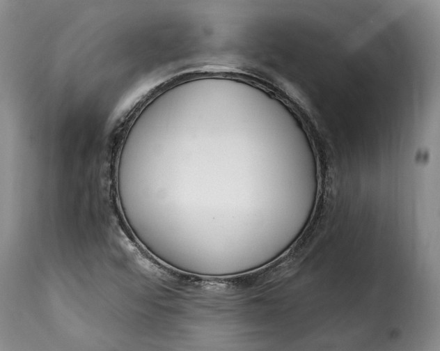 X0000115361456200911241205