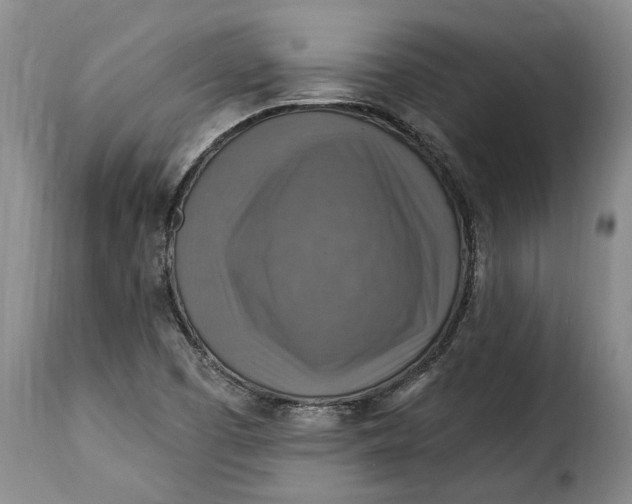 X0000115361457200911241205