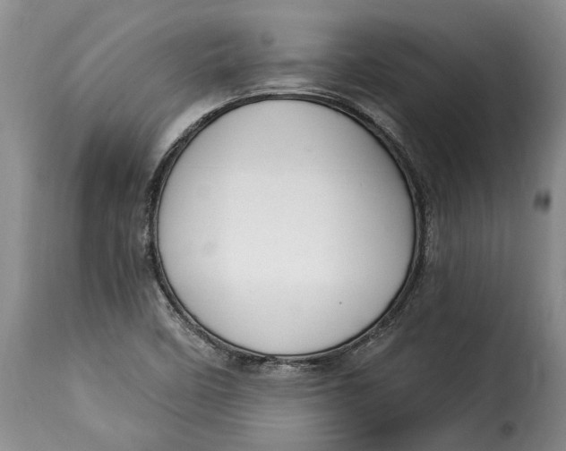 X0000115361458200911241205