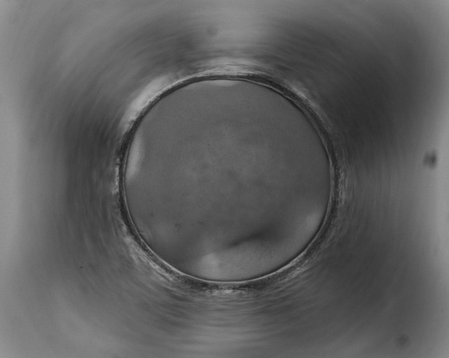 X0000115361459200911241205