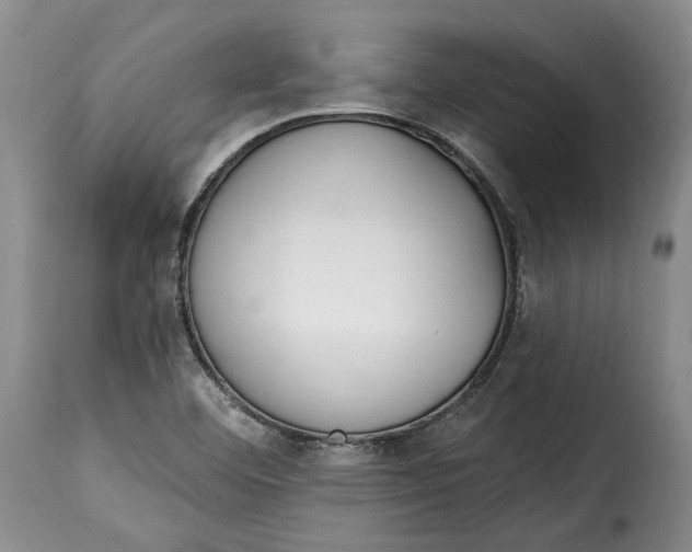 X0000115361460200911241205