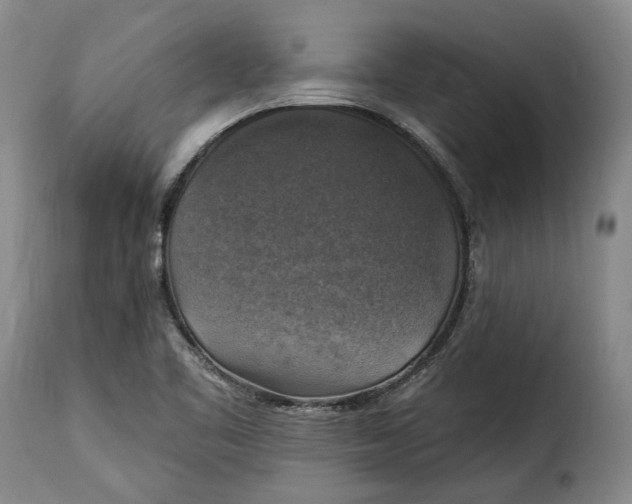 X0000115361461200911241205