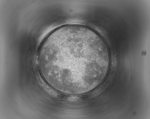 X0000115361462200911241205