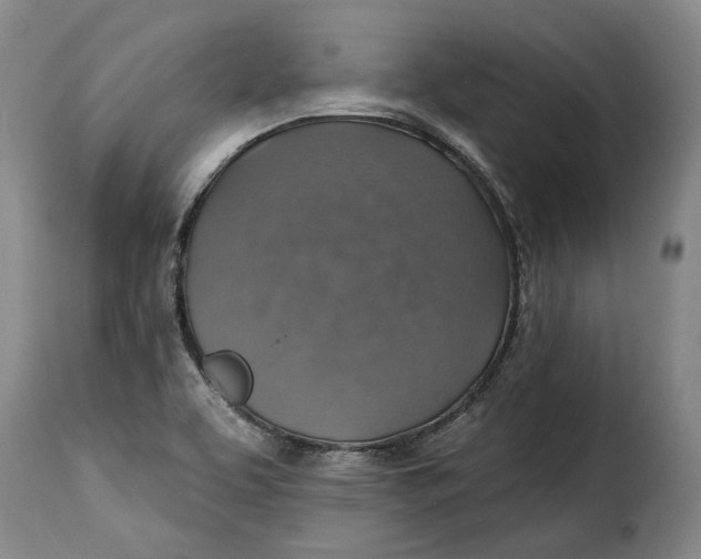X0000115361463200911241205