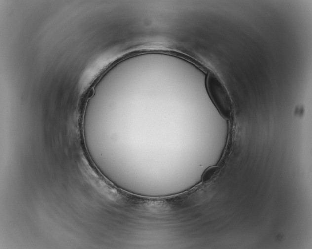 X0000115361464200911241205