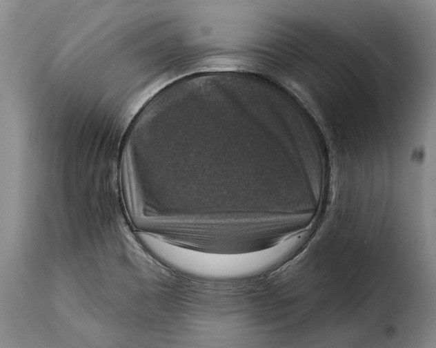 X0000115361465200911241205
