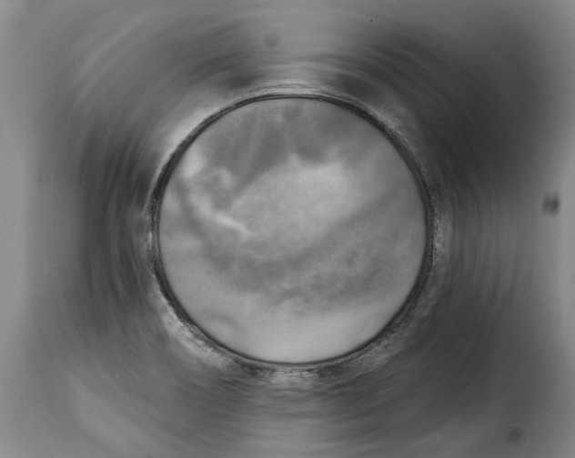 X0000115361466200911241205