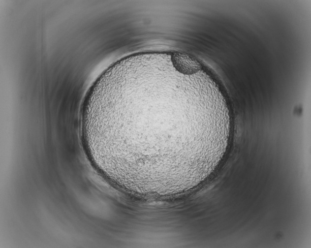 X0000115361467200911241205