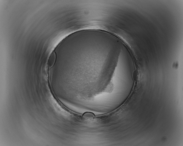 X0000115361468200911241205