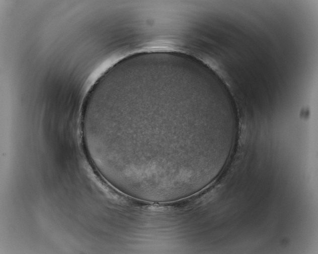 X0000115361469200911241205
