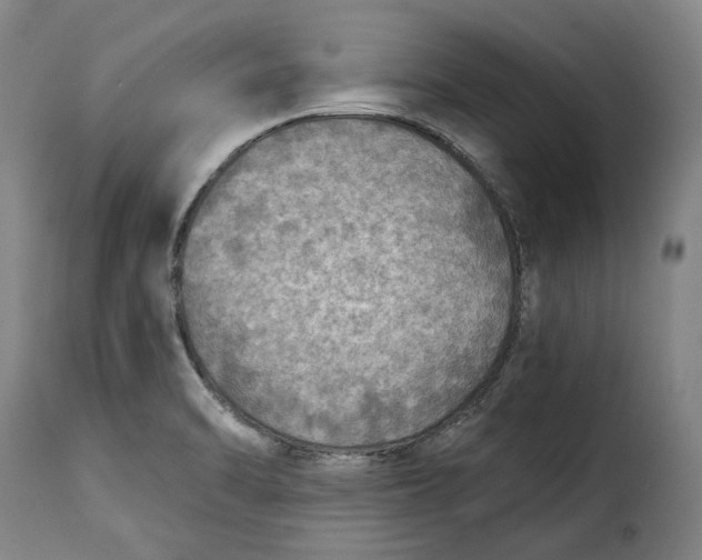 X0000115361470200911241205