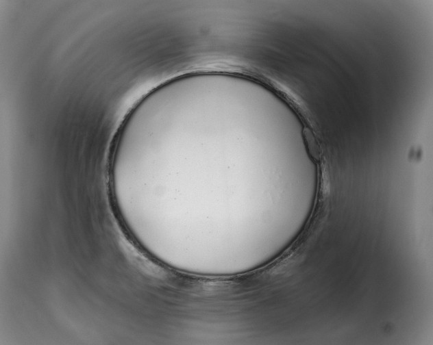 X0000115361471200911241205