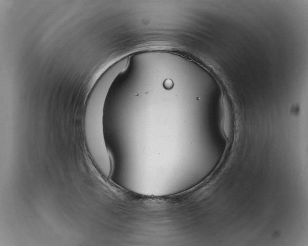 X0000115361473200911241205