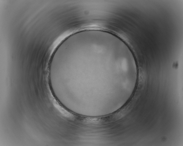 X0000115361474200911241205