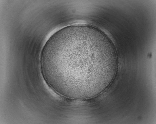 X0000115361475200911241205