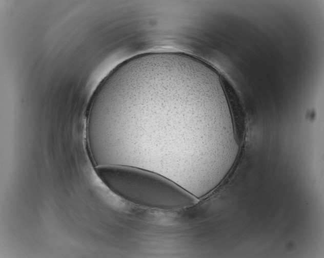 X0000115361476200911241205