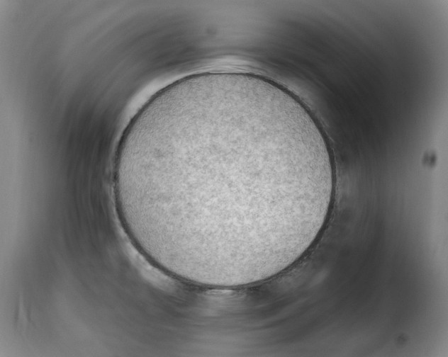 X0000115361478200911241205