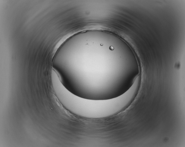 X0000115361481200911241205