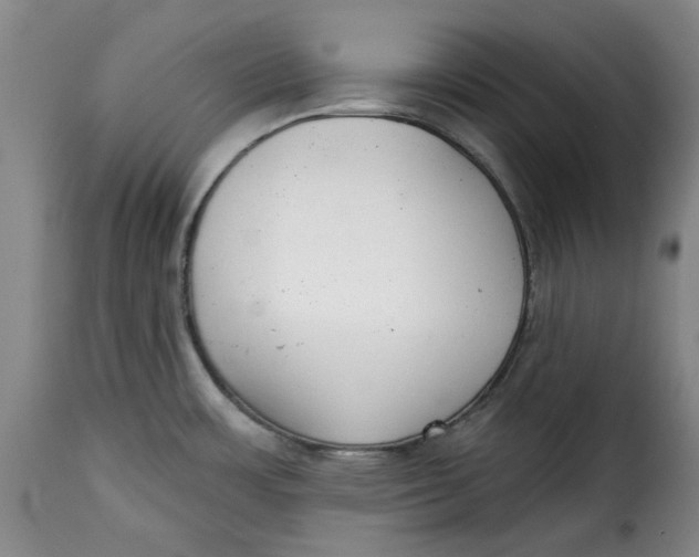 X0000115361483200911241205