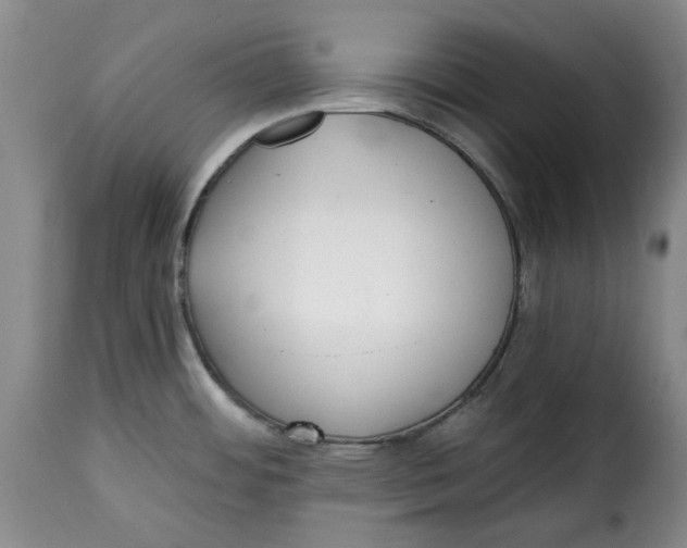 X0000115361484200911241205