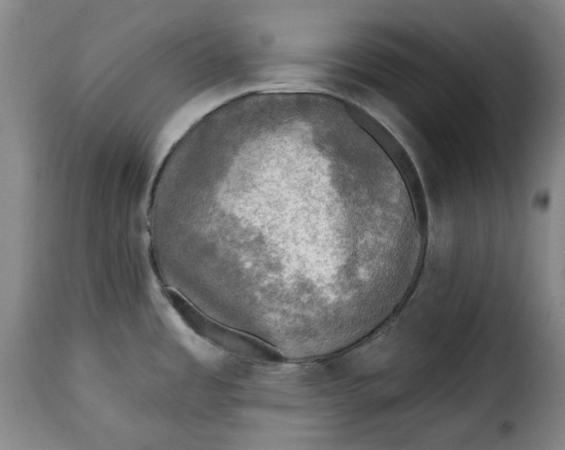 X0000115361485200911241205