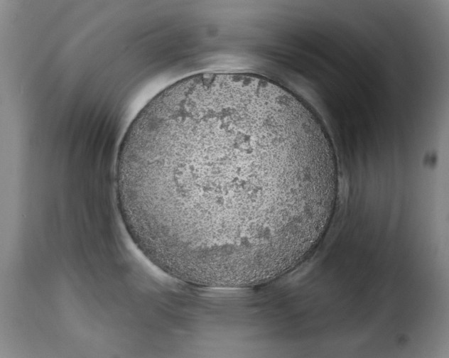 X0000115361487200911241205