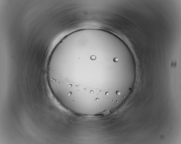 X0000115361488200911241205