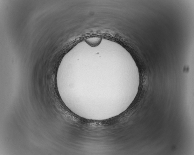 X0000115361489200911241204