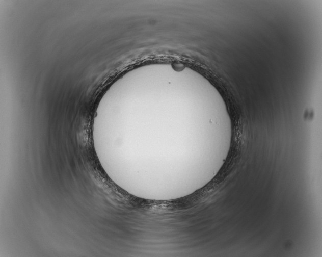 X0000115361490200911241204