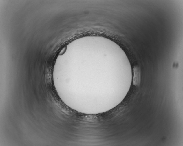 X0000115361491200911241204