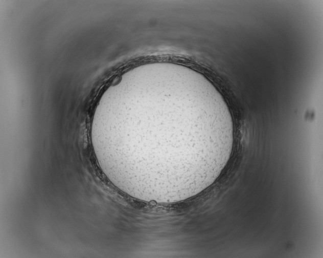 X0000115361493200911241204