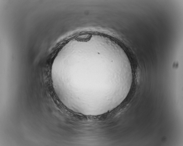 X0000115361494200911241204