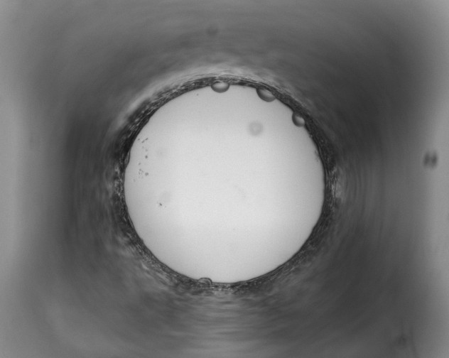 X0000115361495200911241204