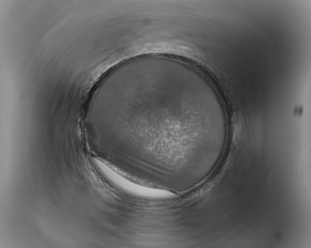 X0000115361497200911241204