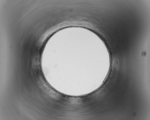 X0000115361498200911241204