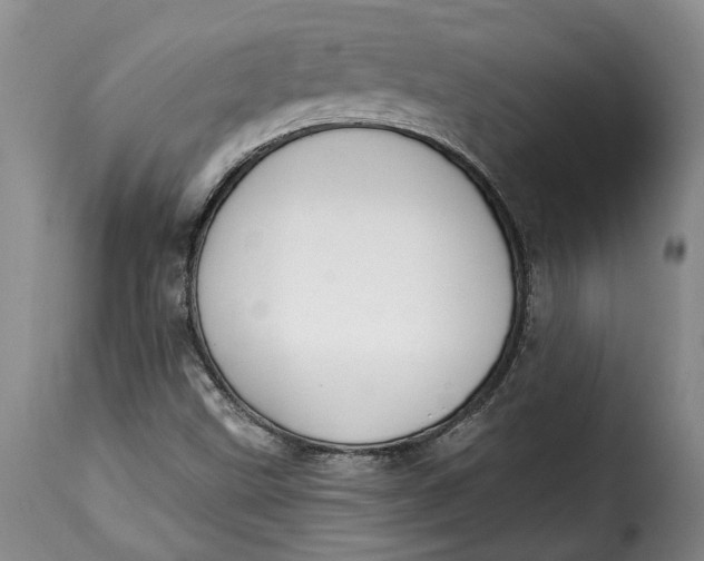 X0000115361499200911241204