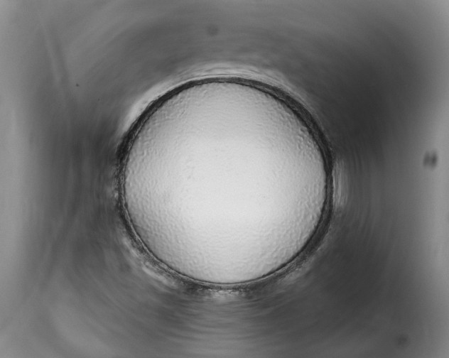 X0000115361501200911241204