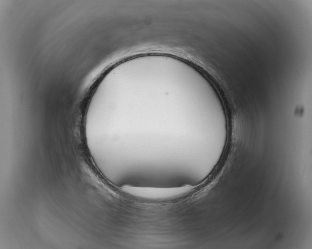 X0000115361502200911241204