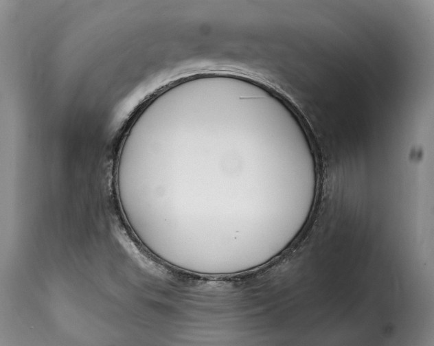 X0000115361503200911241204