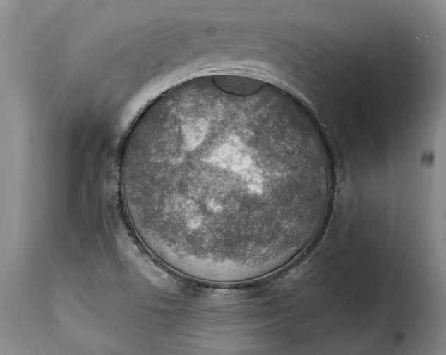 X0000115361506200911241204